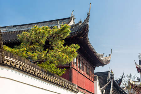 Shanghai, China, 04.07.2014: Yu Yuan Garden on a sunny spring day. Traditional Chinese pavilion surrounded by fresh green pine treesのeditorial素材