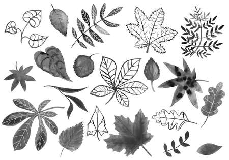 Set of watercolor black leaves. Gloomy dark hand-drawn plant leaves on white background isolated....