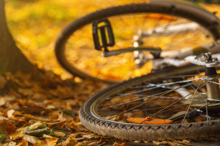 Bicycle in autumn leaves close up. Wheel tire. Seasonal sports, adventure, active lifestyle and...
