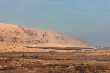 Desert and road along the Dead Sea, Israel. Desert landscape, palms, oasis.