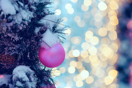 Christmas pink ball on a fir branch in the snow. Beautiful bokeh. Blurred background with Christmas...