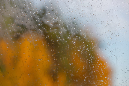 Abstract blurred background. Rainy window view. Rain drops on the window glass. Autumn yellow trees on the background. Fallen leavesの写真素材