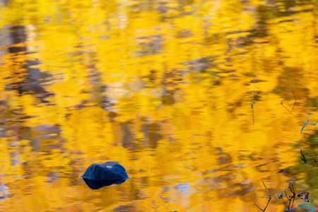 Abstract autumn background. Water surface with reflections of autumn leaves. Delicate yellow background. Sun glare, water flows, stone in the lake.の写真素材