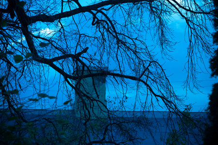 Dark branches on blue background. house roofs and chimneys. Creepy background for Halloween. Tree...
