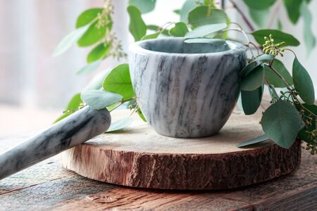 Cosmetic bottle with green leaves of eucalyptus, Blank label mock-up.