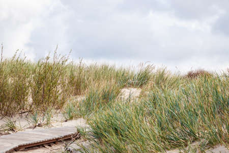 Coast line of the Baltic Sea, nature background.の写真素材