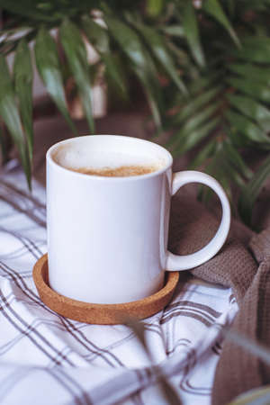 Morning coffee is on the table with plants.の写真素材