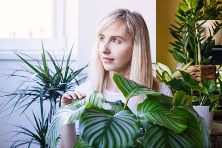 Portrait of a young blonde woman who holds house plant with large leaves.の写真素材