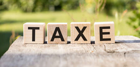 Taxe - text on wooden cubes, on wooden background. flower in a pot, all that's left after taxesの写真素材