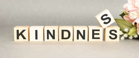 KINDNESS - words from wooden blocks with letters, KINDNESS concept, top view background.の写真素材