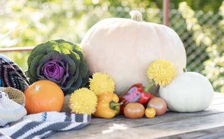 Panorama of fresh vegetables and fruits on blurred background of green leaves.