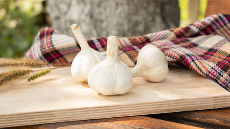 Garlic. sliced garlic, garlic clove, garlic bulb in wooden bowl place on chopping block on vintage...