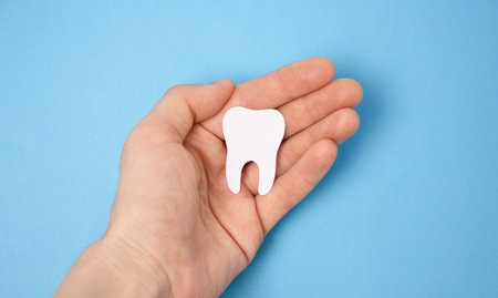 Tooth figurine in hand on blue background. Means to care for the oral cavity.の写真素材