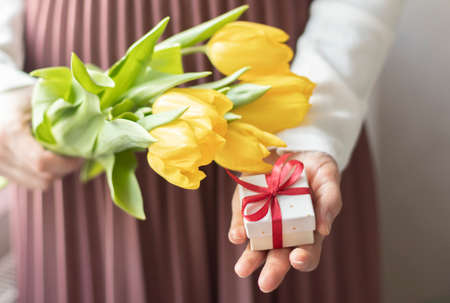 Female hands hold tulips and gift box on write backgroundの写真素材
