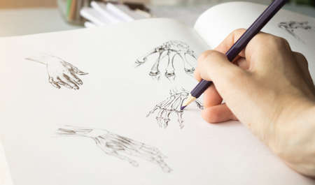 Artist with a pencil close-up while drawing a sketch on clean paper. Hand, draw.の写真素材