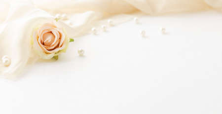 single rose on a brick wall painted whiteの写真素材