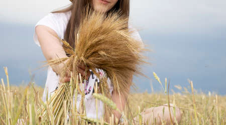 Girl hold in hand bunch of wheat stalks.の写真素材
