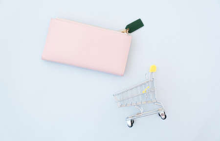 Pink female purse and mini shopping trolleyの写真素材