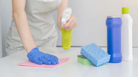 Maid or housewife cares about house. Spring general or regular clean up. Commercial cleaning company...