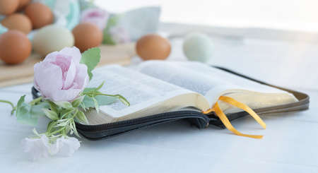 Easter card with Easter egg in the nest, spring flowers and old book in background.の写真素材