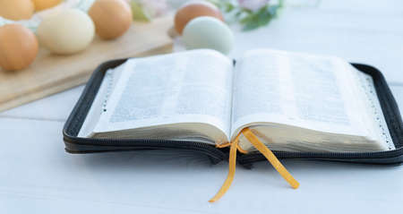 Easter card with Easter egg in the nest, spring flowers and old book in background.の写真素材
