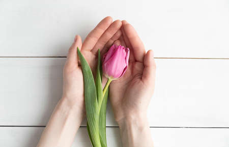 Female hand holds a flower in the palm of her hand on a wooden background.の写真素材