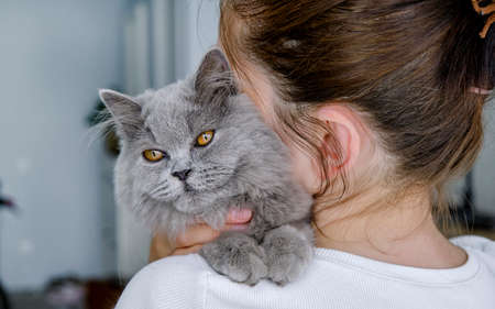 Cropped image of beautiful female veterinarian doctor holding cute beige cat in her arms in a veterinary clinic and smiling. gray background.の写真素材