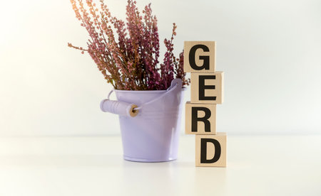 Text Gerd on cubes on a gray light tableの写真素材