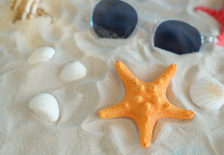 Background place for sunscreen Selective focus, Colors of life in the deep sea,United States,USAの写真素材