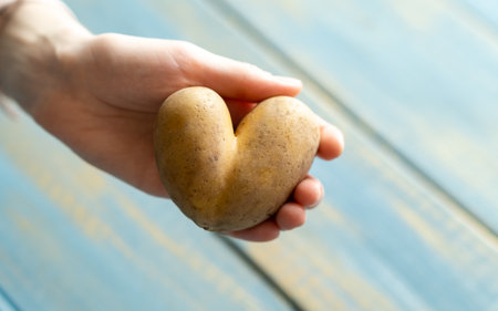 A woman in a blue t-shirt holds heart-shaped potatoes in her handsの写真素材
