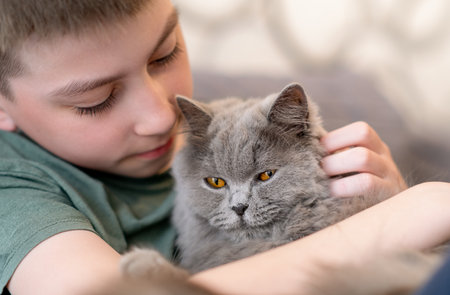Little boy and American cocker spaniel on bed at home. Children and pets at home. Kid taking nap with pet. Animal care.の写真素材