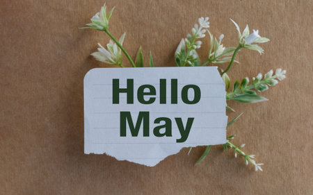 A piece of paper with the word Hello May written on it. The paper is on a brown background and has a flowery borderの写真素材
