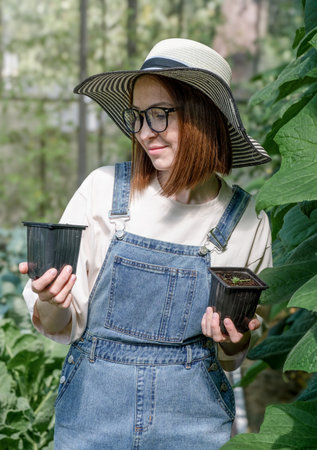 A woman wearing a straw hat and glasses is holding two potted plants. She is wearing blue overallsの写真素材