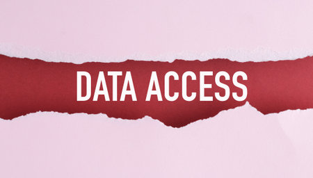 Data Access is written in red letters on a pink background. The image has a red and pink color scheme, which gives it a playful and fun vibeの写真素材
