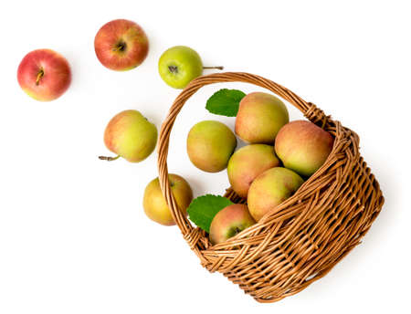 Ripe apples spilled out of the basket on a white background. The view from top.