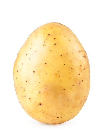 One potato closeup on a white background.の写真素材