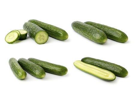 Set of ripe cucumbers on a white background.の写真素材
