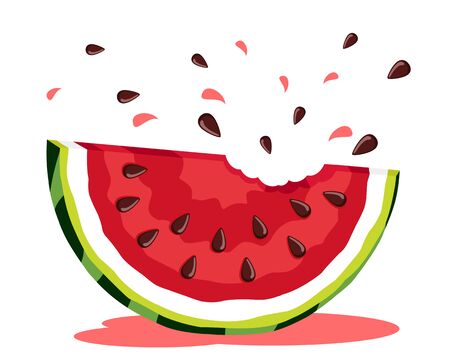 Piece of watermelon with bites, on a white background.の写真素材