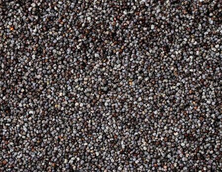 Poppy seeds background. The view of the top.の写真素材