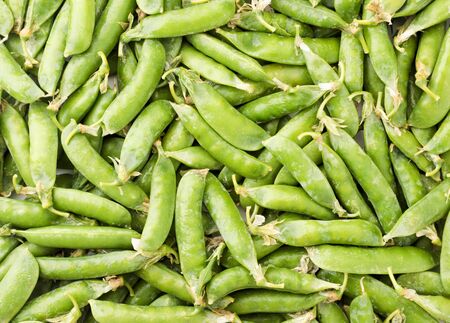 Peas in the pods. Background peas in podsの写真素材