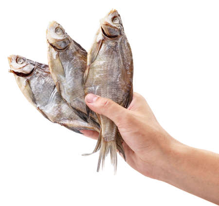 Dried fish in a hand close-up on a white background. Isolatedの写真素材