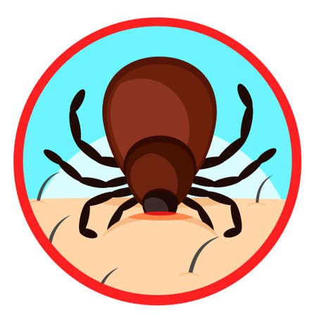 Mite bites a person's body close-up. Warning signのイラスト素材