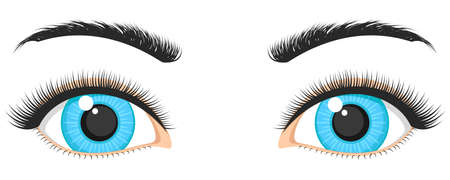 Natural blue female eyes and eyebrows close up on white backgroundのイラスト素材
