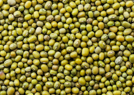 Mung bean background. The view from top