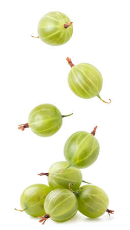 Green gooseberry drops on a heap close-up on a white background, levitating gooseberry. Isolatedの写真素材