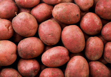 Pink potato close up background. The view from topの写真素材