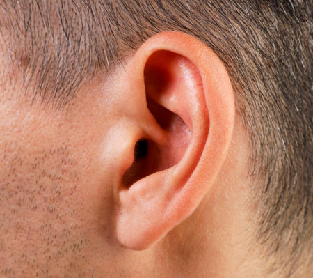 A man's ear on the background of the head close-up. Human organの写真素材