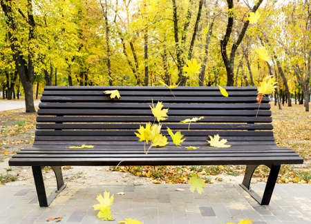 Bench and falling autumn leaves in the park close-up on the background of nature