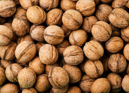 Walnuts in shell close-up, background. The view from topの写真素材