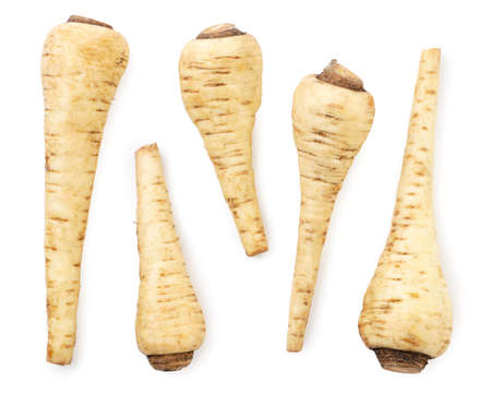 Set of parsnip root close-up on a white background, isolated. Top viewの写真素材